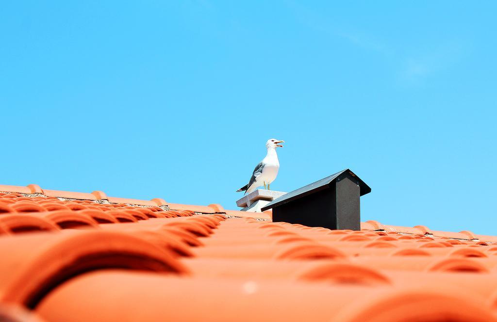 Apartmani Adrijan Krk Krk Town Pokoj fotografie